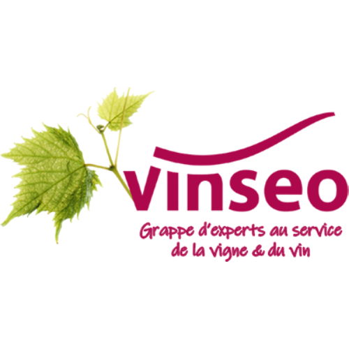 Vinseo